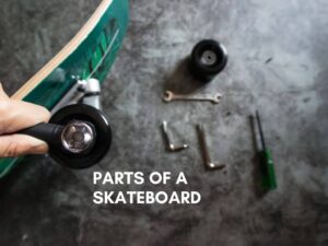 Parts of a Skateboard